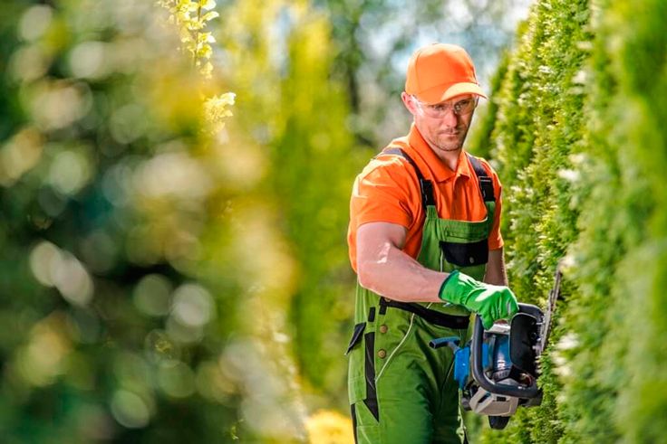 Servicio de Jardineros