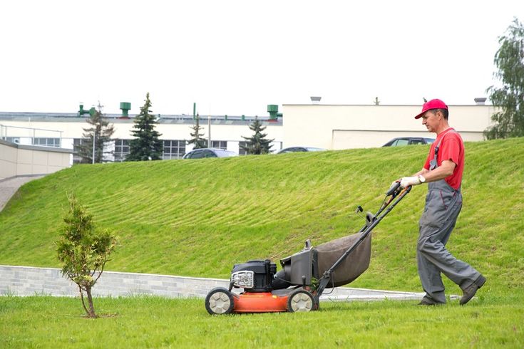 Profesional de Jardineros